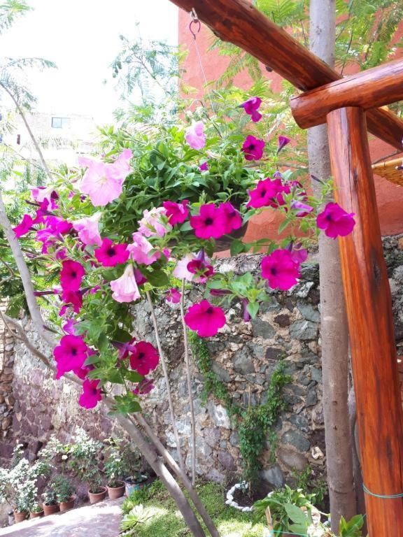 Casita Privada Del Chan Guanajuato Zewnętrze zdjęcie