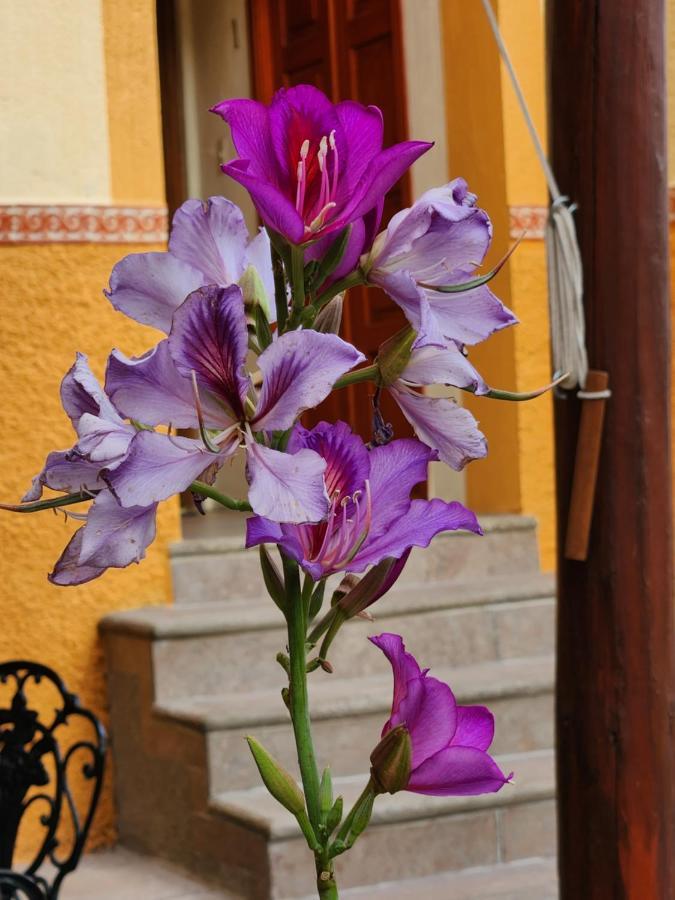 Casita Privada Del Chan Guanajuato Zewnętrze zdjęcie